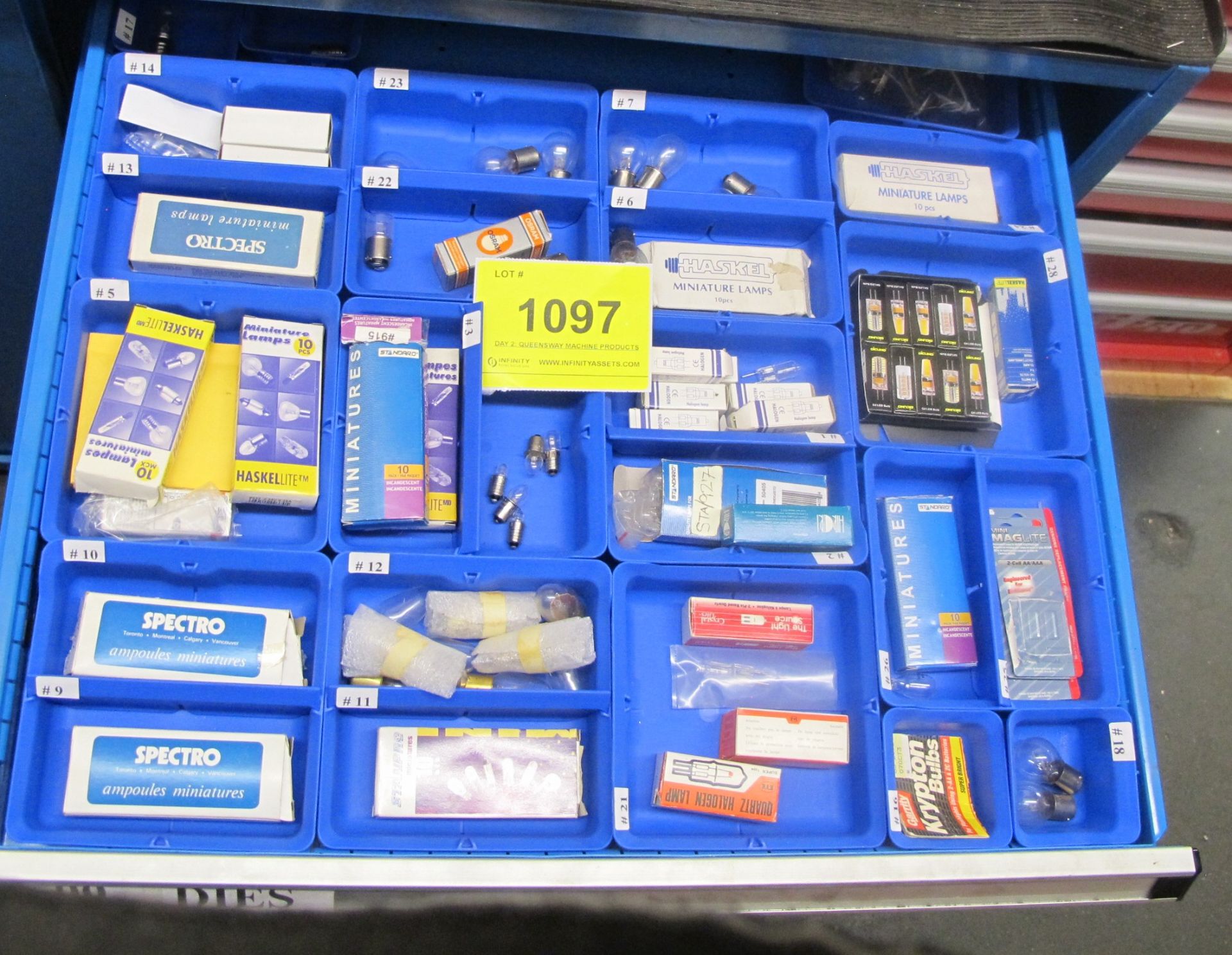 CONTENTS OF 1-DRAWER OF SUSTA TOOL CABINET INCLUDING BULBS IN BLUE TRAYS