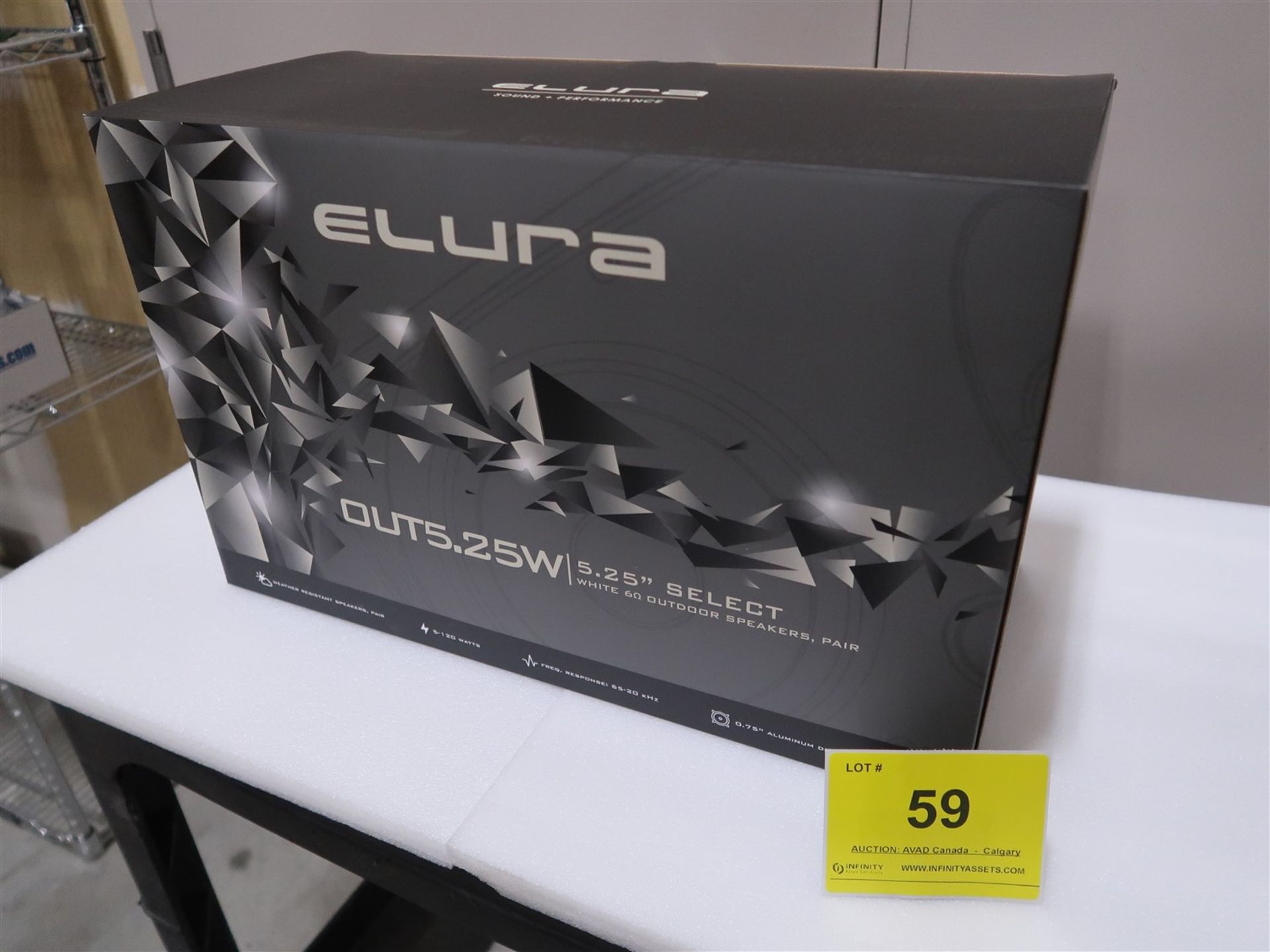 ELURA OUT 5.25W, 5.25 IN. SELECT, WHITE 6 OUTDOOR SPEAKERS, PAIR, (BNIB)