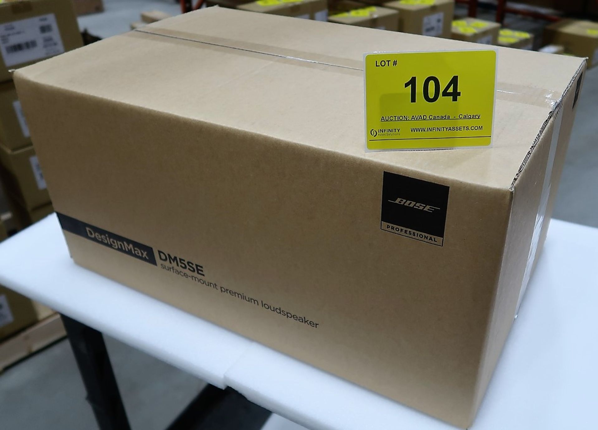 BOSE DESIGNMAX DM5SE SURFACE MOUNT PREMIUM LOUD SPEAKER, WHITE, PAIR, 70V/100V/80 4M, (BNIB) MSRP $