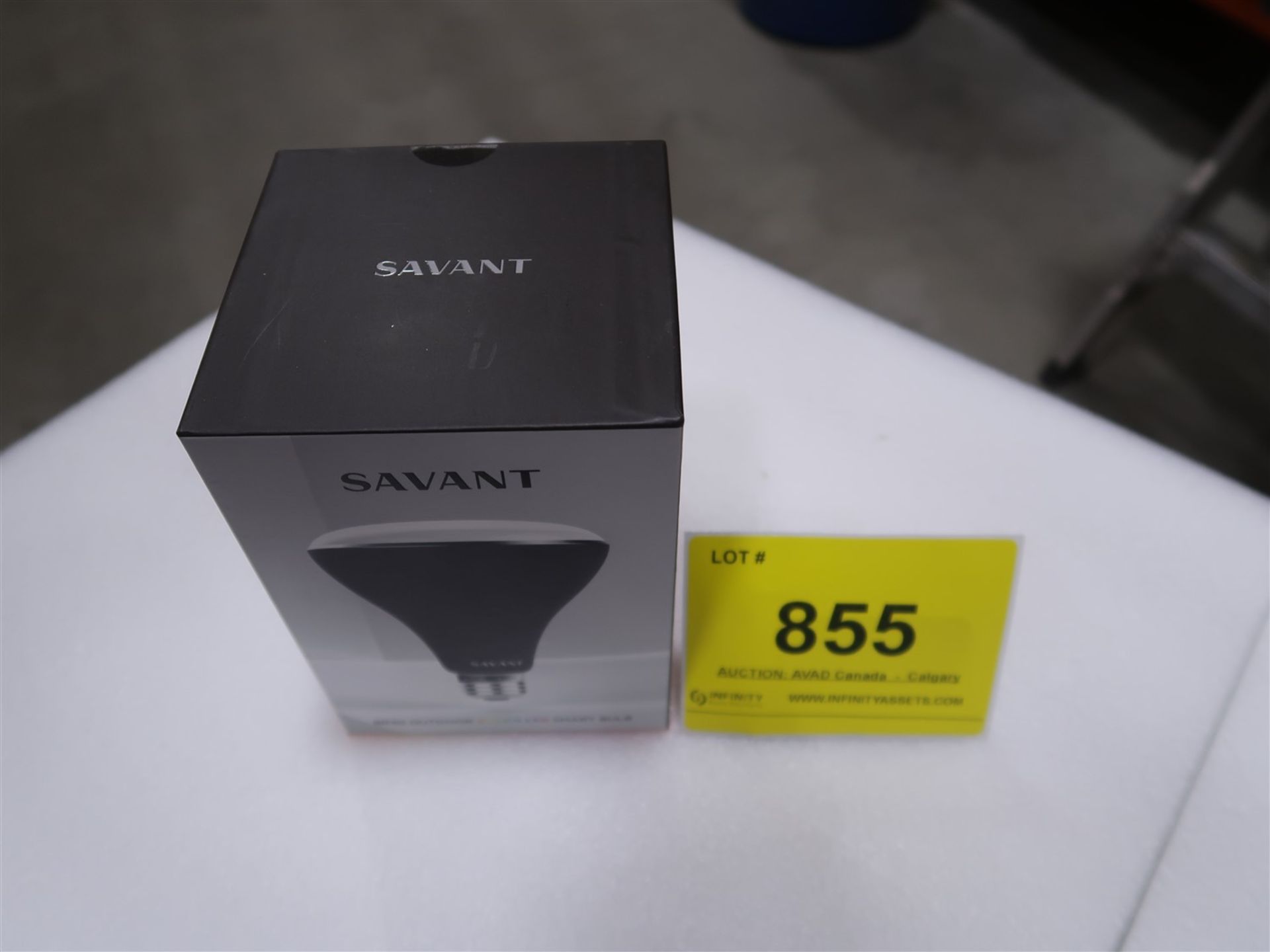 SAVANT BR30 OUTDOOR COLOR LED SMART BULB