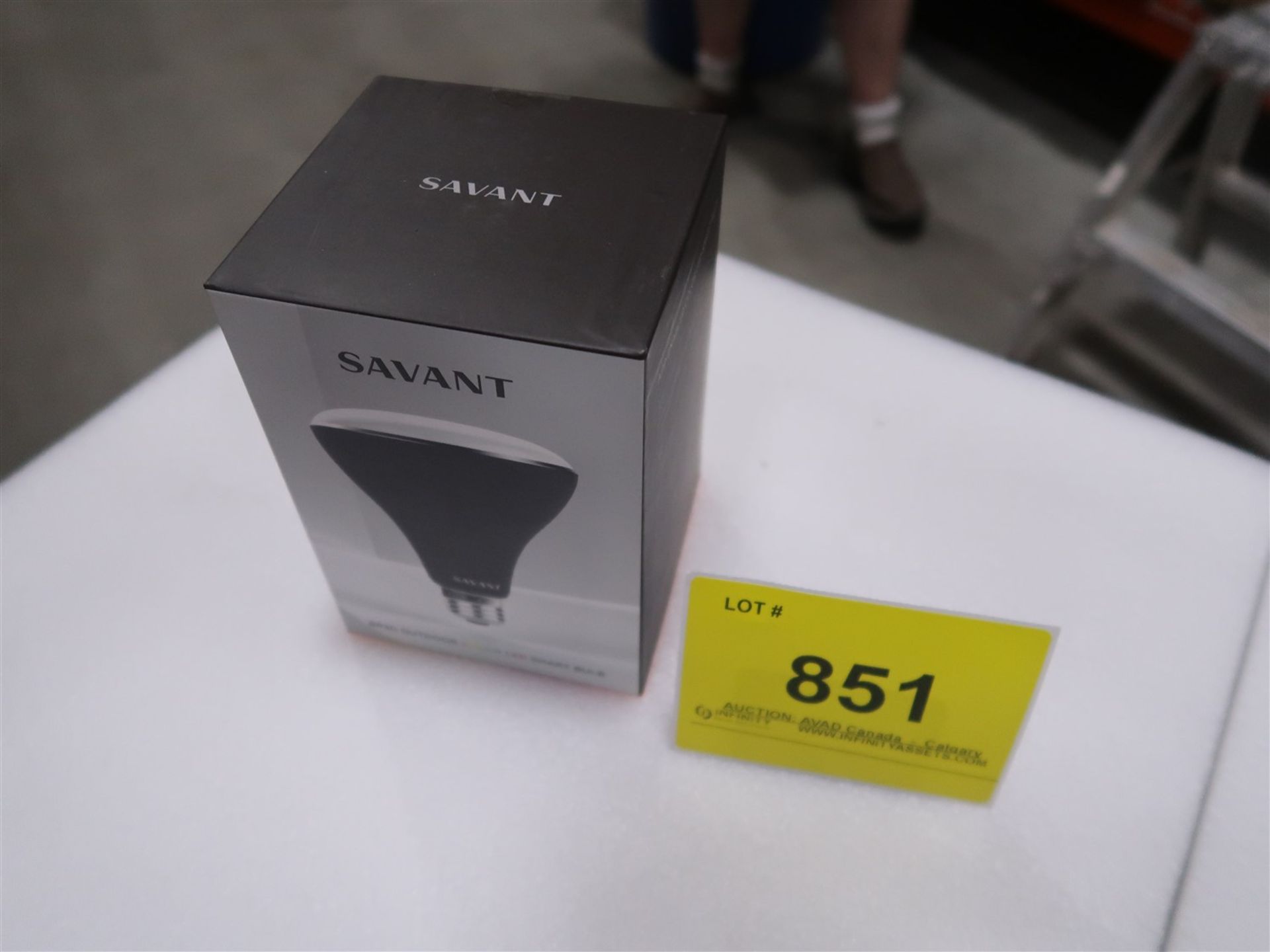 SAVANT BR30 OUTDOOR COLOR LED SMART BULB