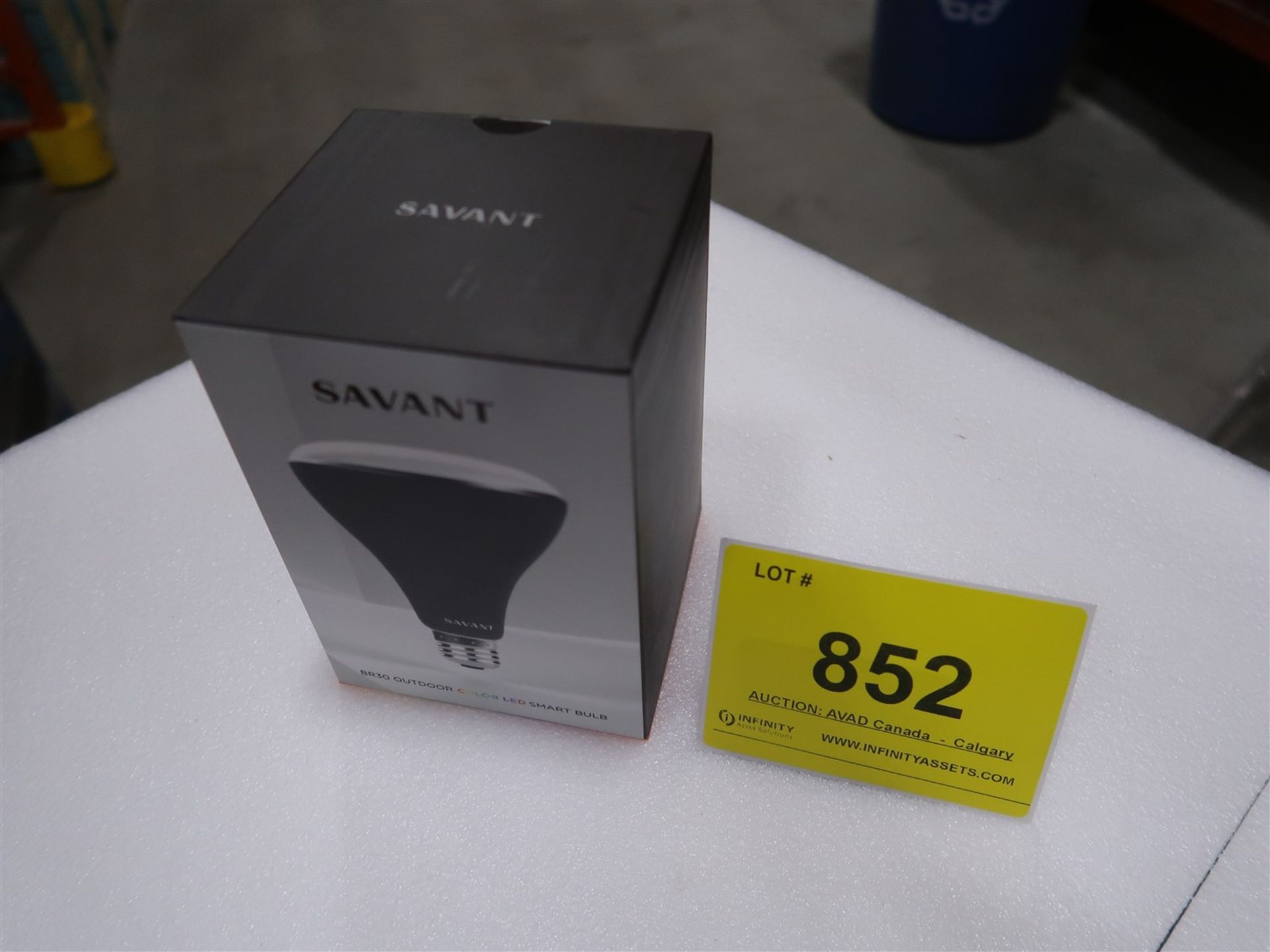 SAVANT BR30 OUTDOOR COLOR LED SMART BULB