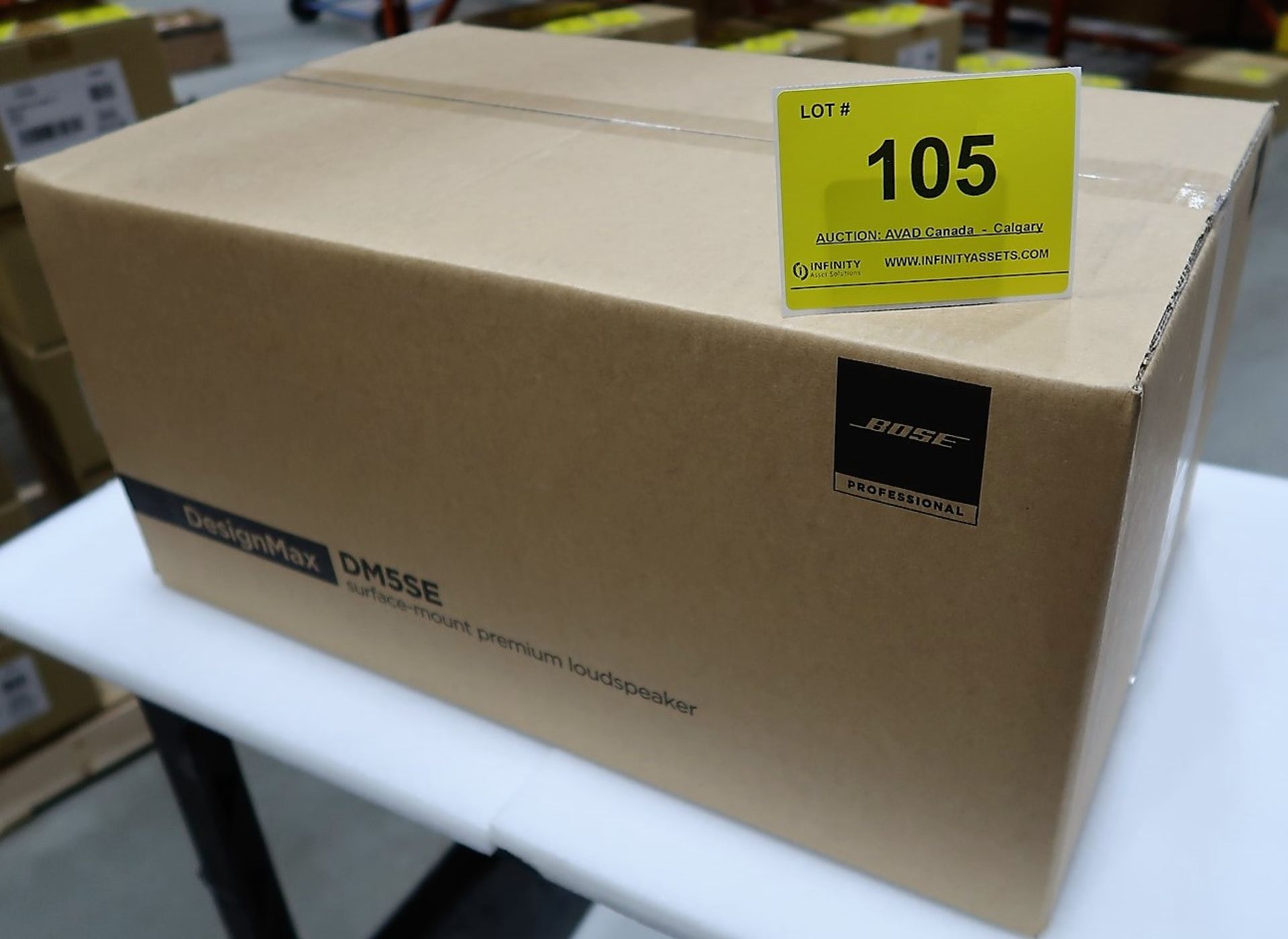 BOSE DESIGNMAX DM5SE SURFACE MOUNT PREMIUM LOUD SPEAKER, WHITE, PAIR, 70V/100V/80 4M, (BNIB) MSRP $