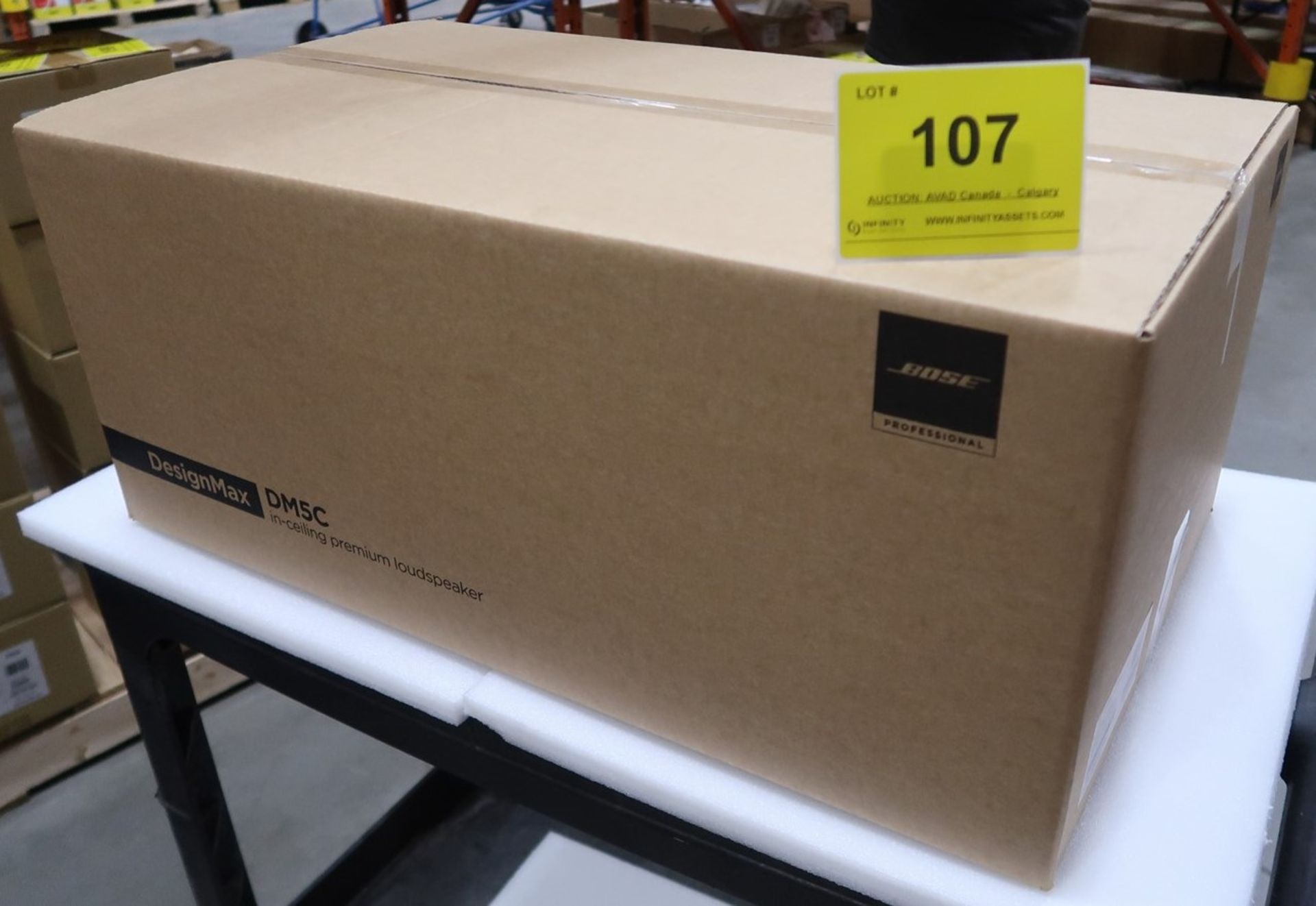 BOSE DESIGNMAX DM5SE SURFACE MOUNT PREMIUM LOUD SPEAKER, BLACK, PAIR, 70V/100V/80 4M, (BNIB) MSRP $