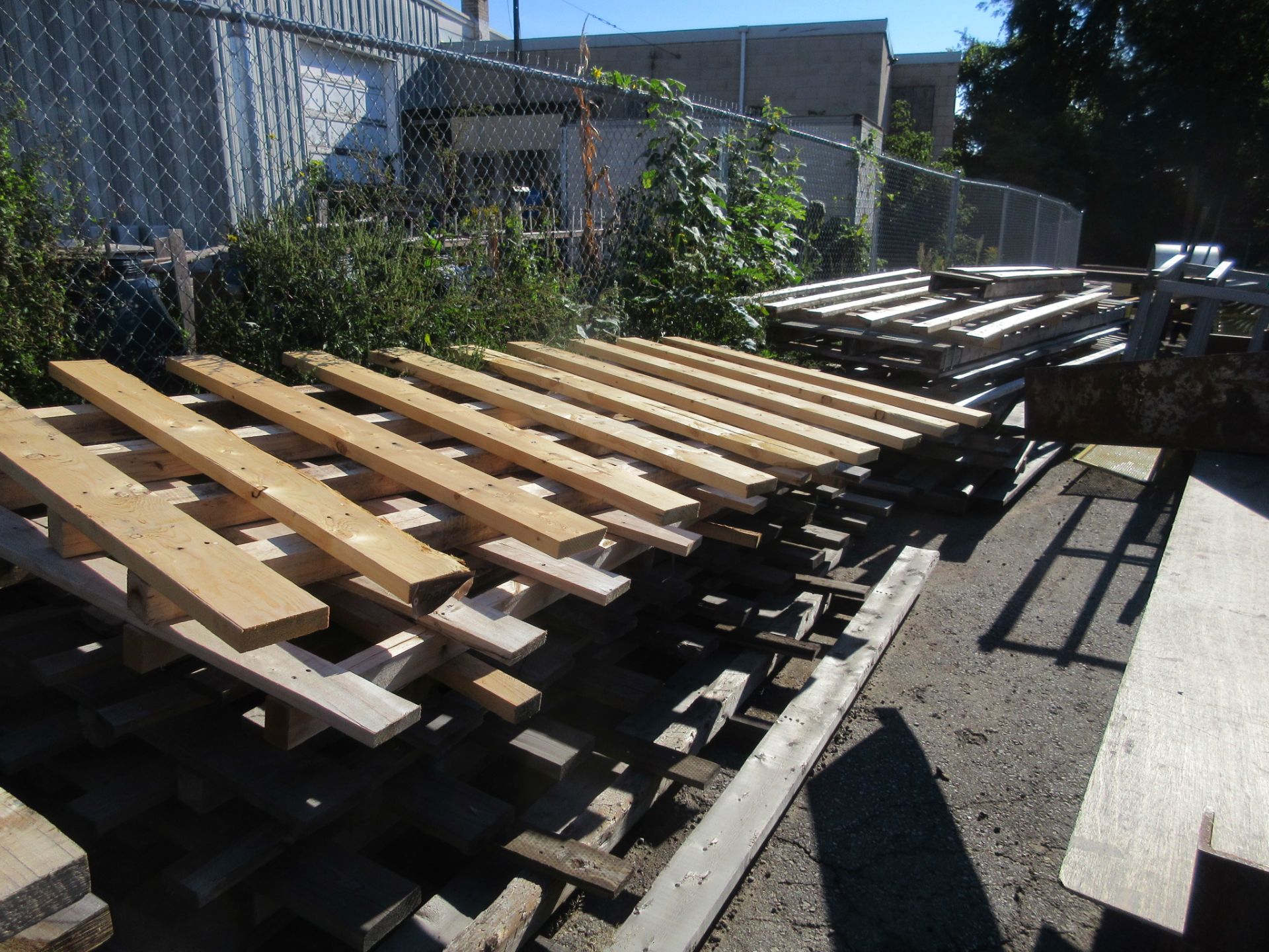 LOT ALL LOOSE WOOD IN YARD - Bild 6 aus 7