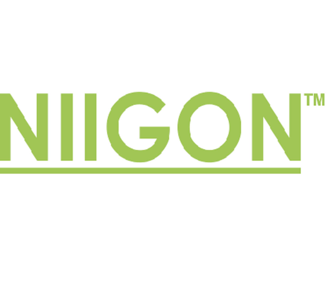 Day 1 - Niigon Machines Ltd.