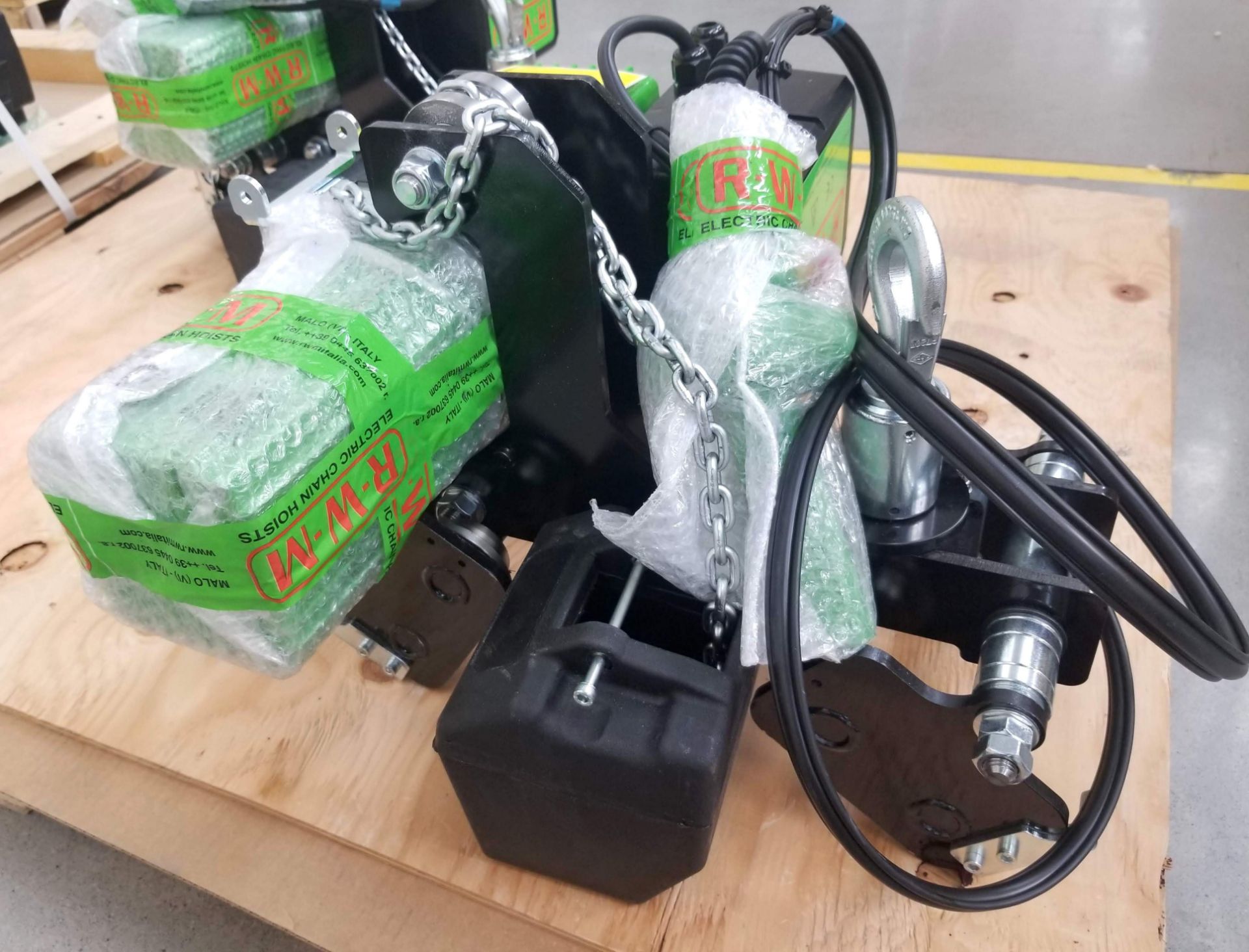 R.W.M. 250KG CAP. 3 PHASE ELECTRIC CHAIN HOIST 480V - Image 2 of 4