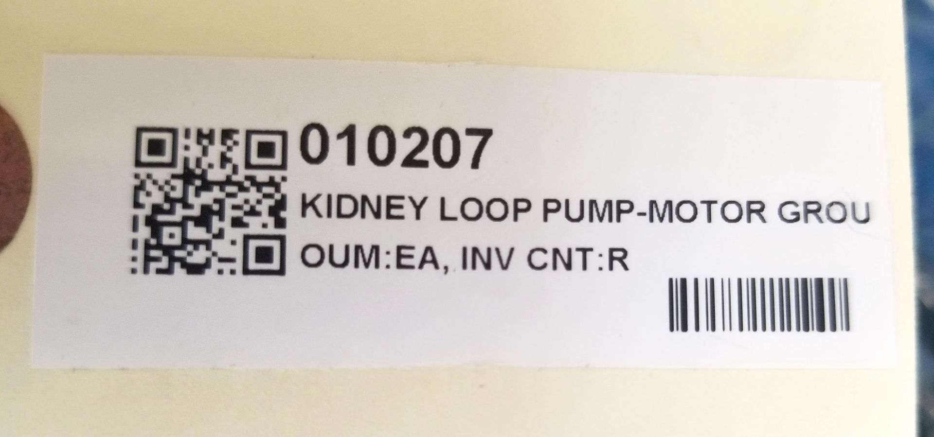 KIDNEY LOOP PUMP-MOTOR GROUP, 0.75 KW, 20 CC - Image 6 of 10