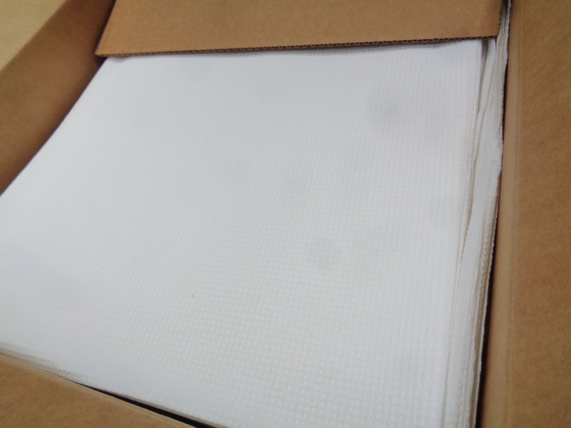 (2) Boxes of Spilfyter 16" x 20" Light-Duty Soaker Pads (250 per case) - Image 3 of 3