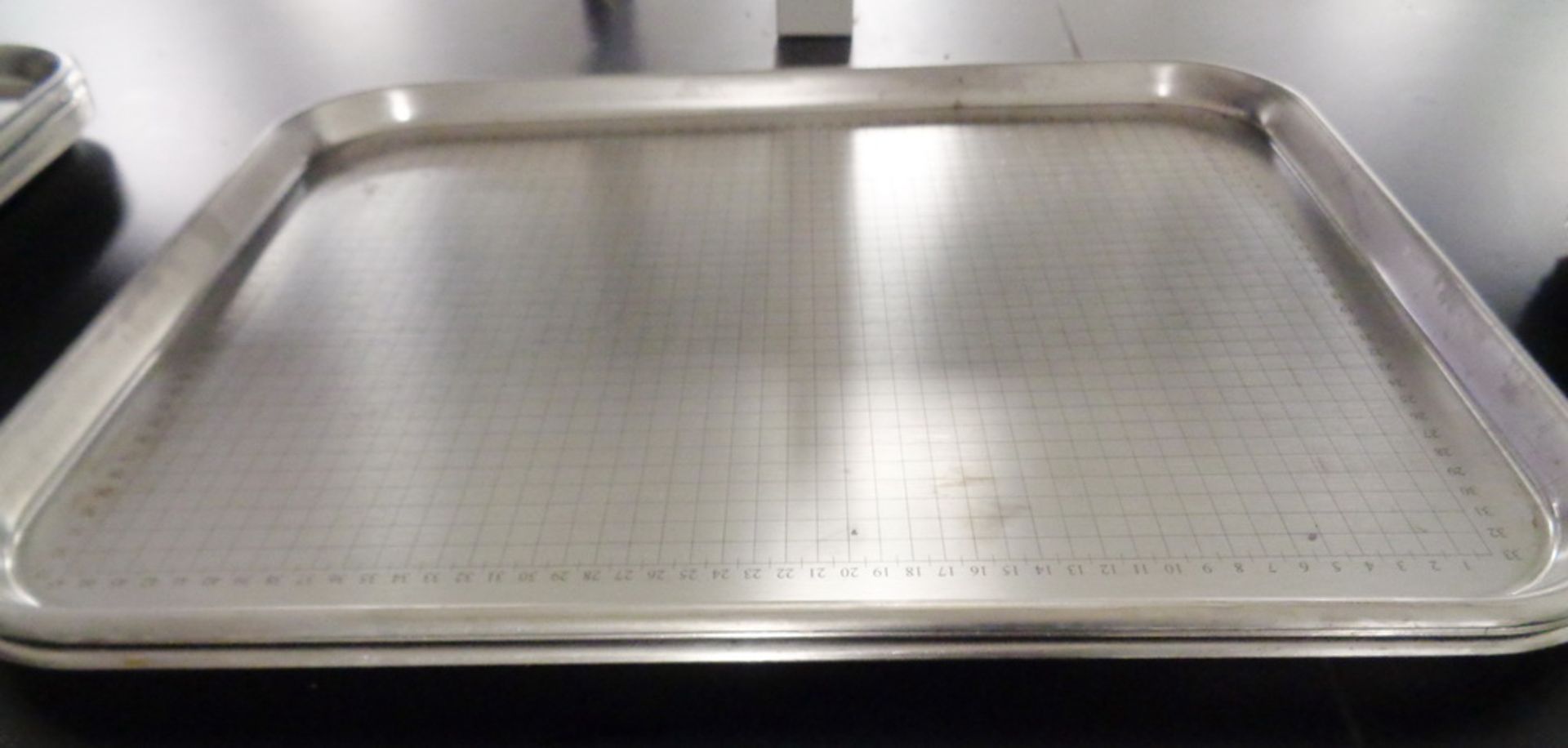 Lot of Stainless Steel Trays