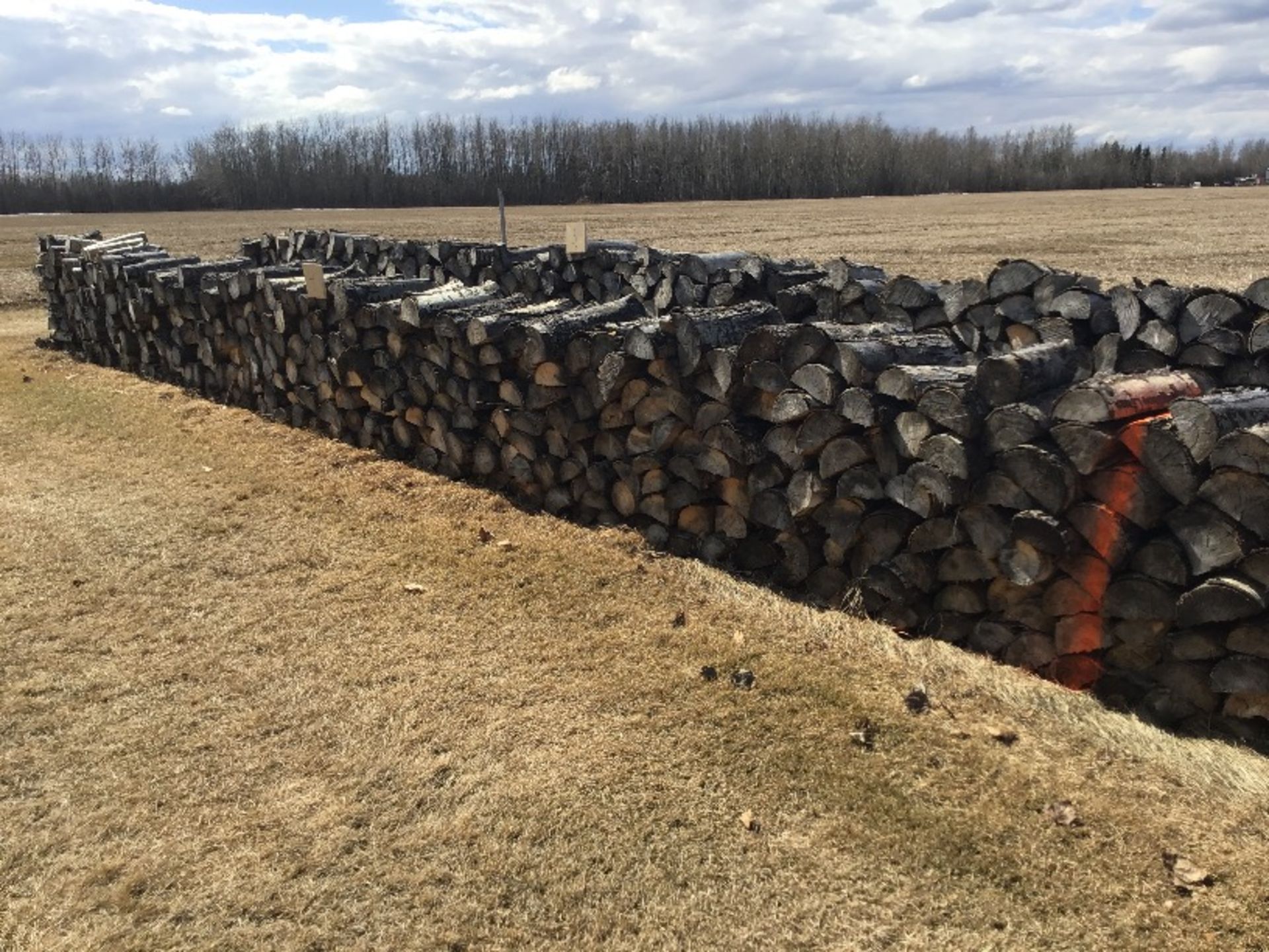 30Ft Row of Aspen Fire Wood