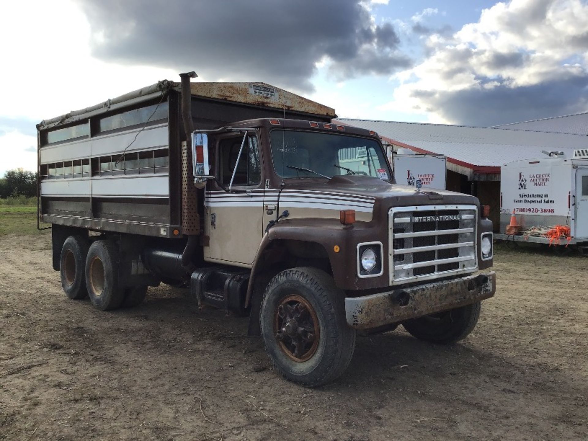 1979 International T/A Tag axle Grain Truck - Image 2 of 20