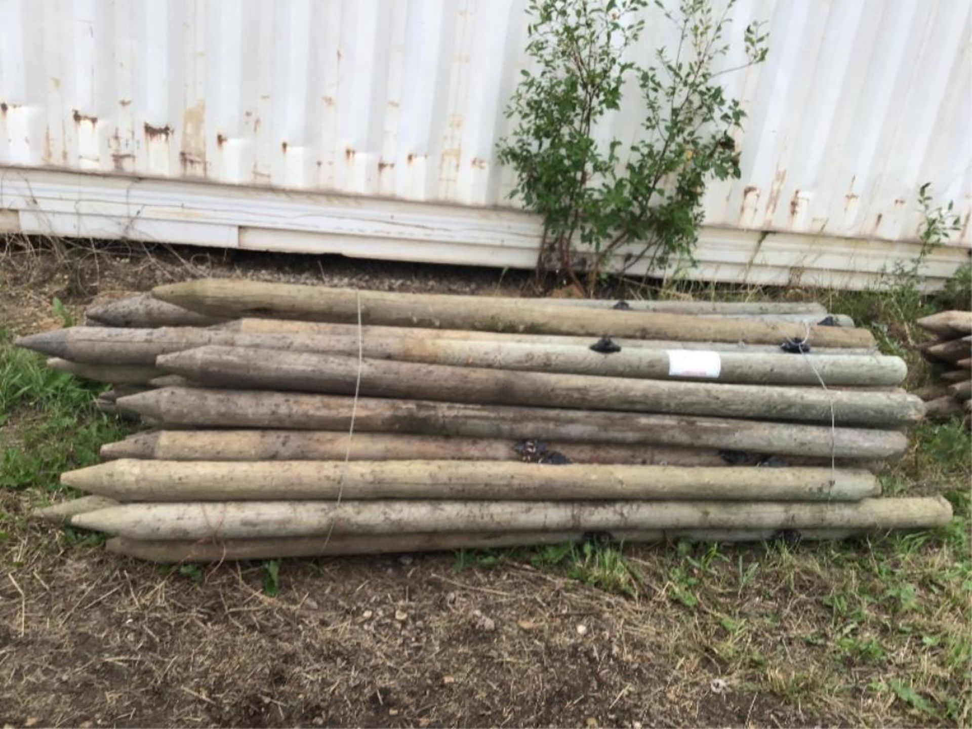 50pc of 3-4in X 7Ft Fence Posts Selling by the pc X 50.