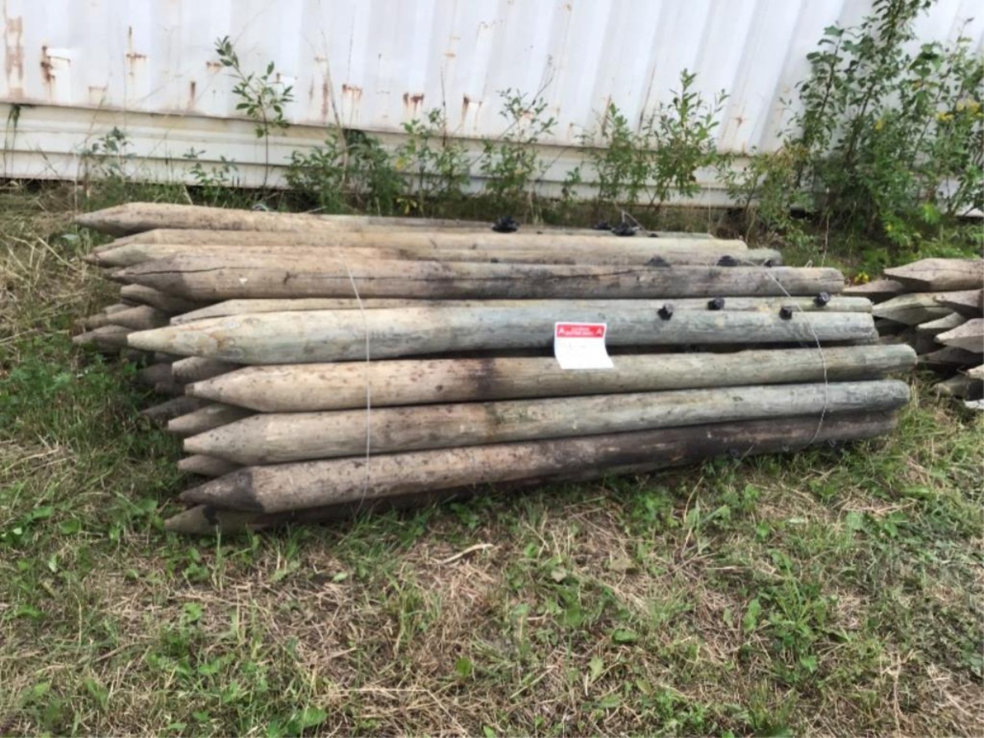 50pc of 3-4in X 7Ft Fence Posts Selling by the pc X 50.