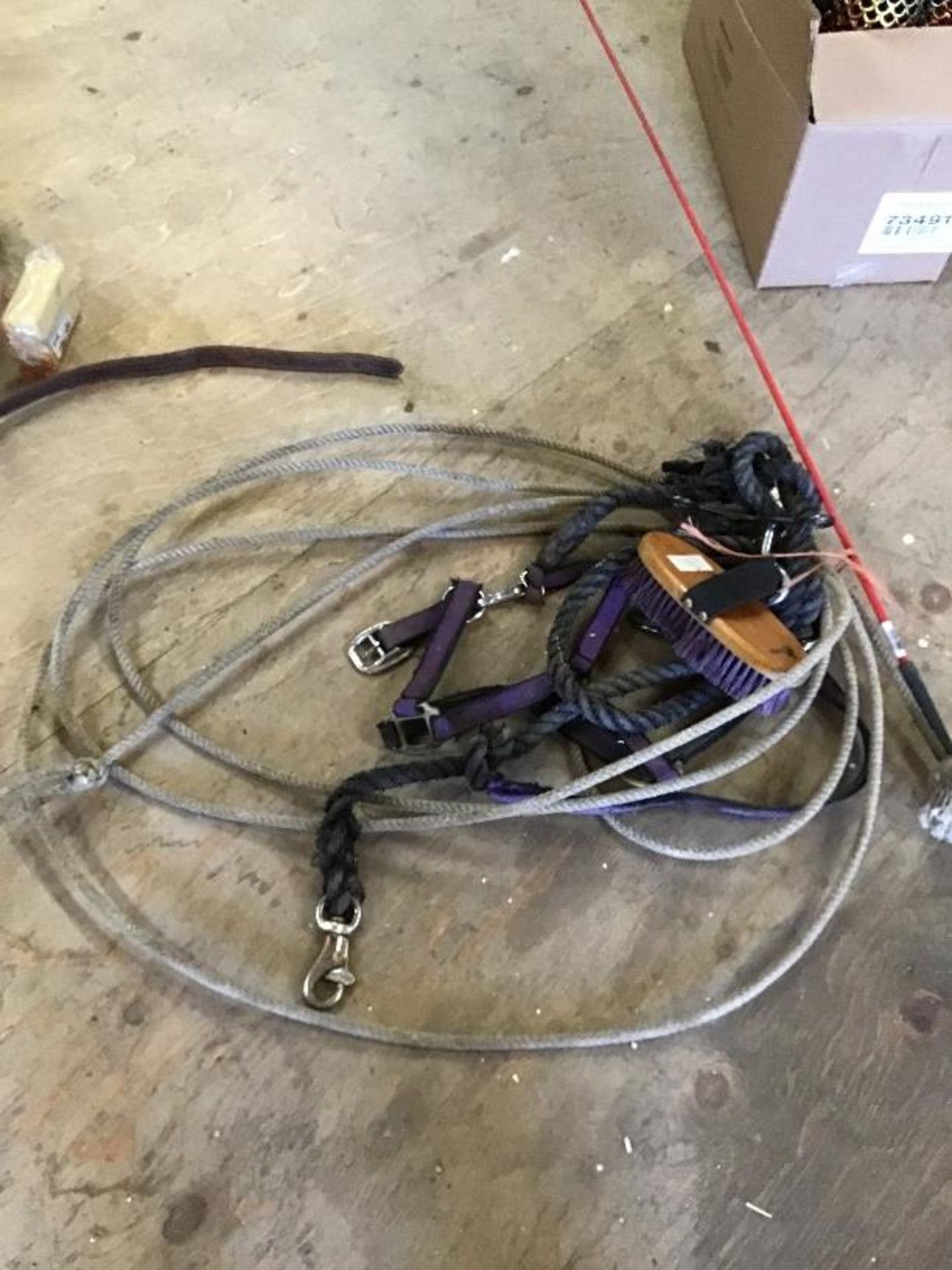 Halters, Lead Rope, Lasso Rope, Whip & Brush