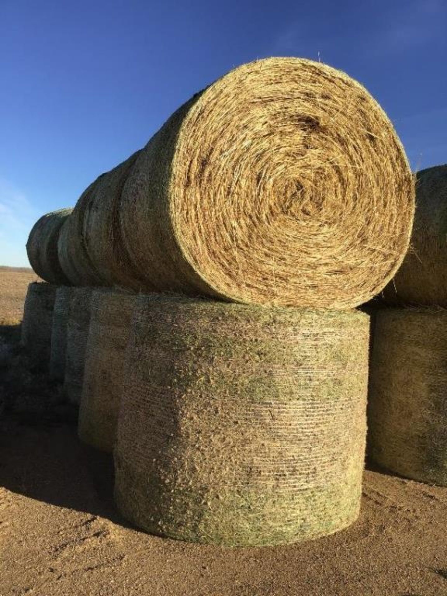 (10)-Green Feed Oats Round Bales Made with John Deere 568 Baler. 5 X 6 Hard Core Bales Lot # 23, 24,