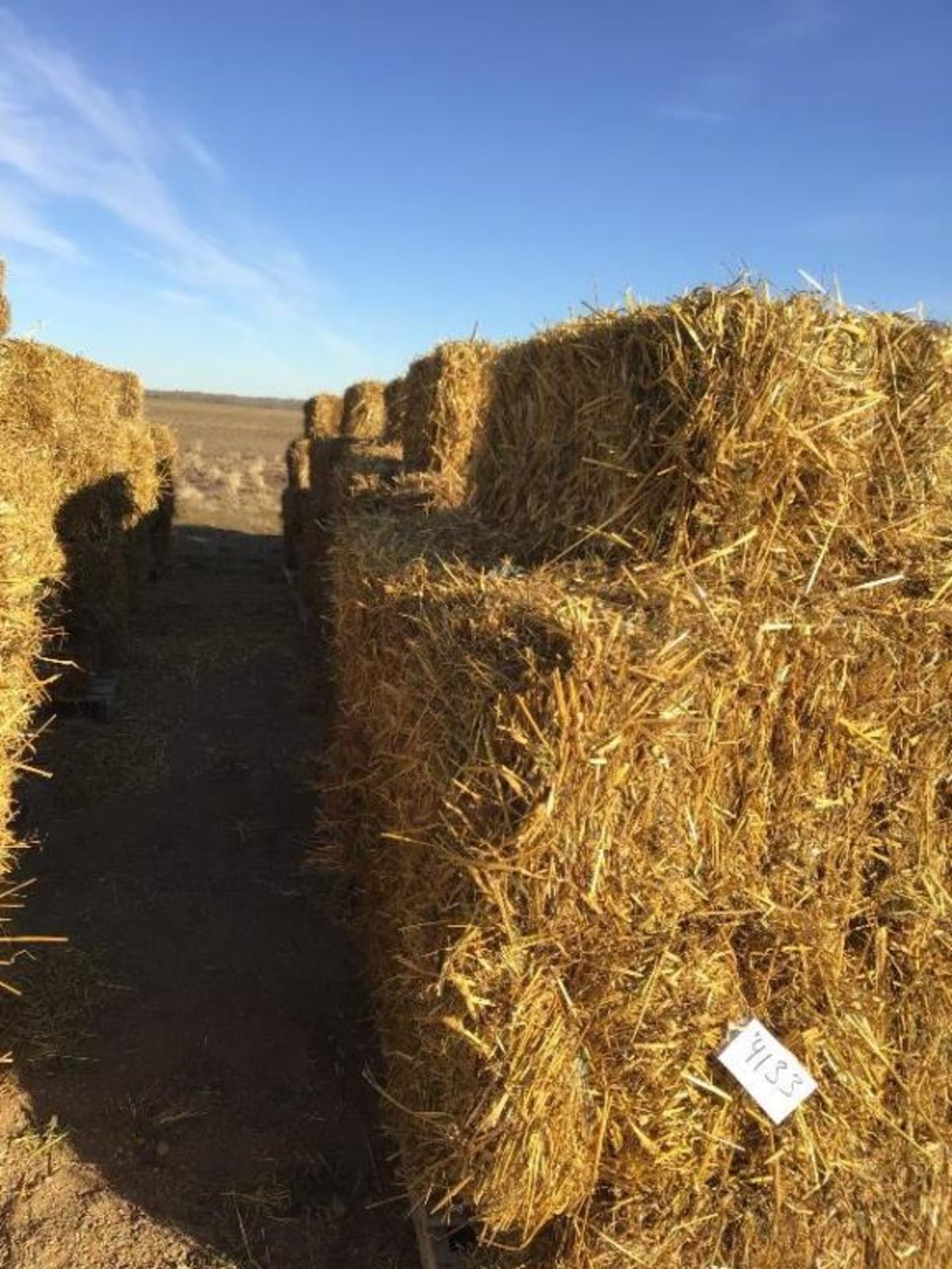 (10) Small Square Oat-Straw Bales Selling by the pc X 10. Lot # 50, 51, 52, 53, 54, 55, 56, 57, - Image 3 of 3