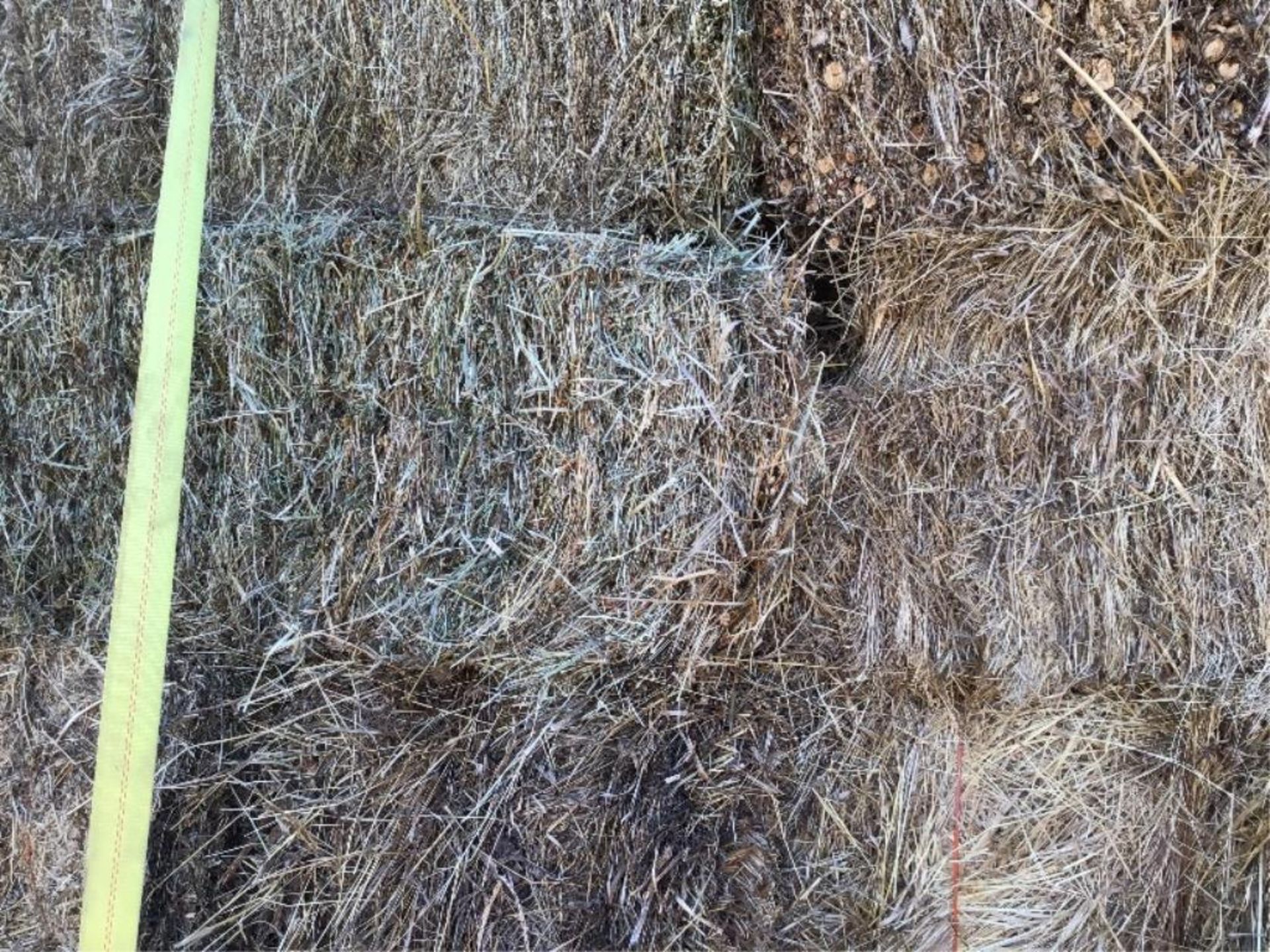 (20)-Brome/Alfalfa/Clover Mix Small Square Bales Selling by the pc X 20. Delivery for these bales on - Image 2 of 2