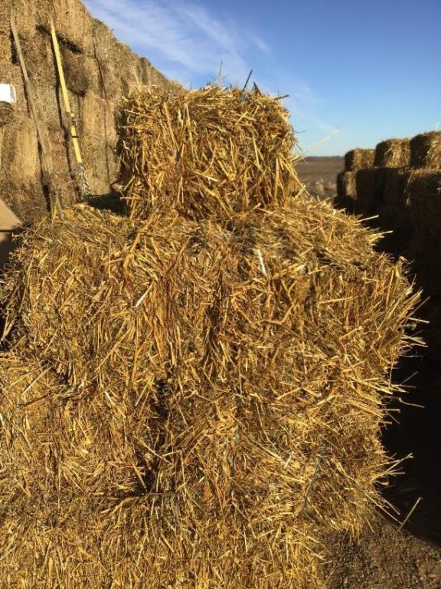 (10) Small Square Oat-Straw Bales Selling by the pc X 10. Lot # 50, 51, 52, 53, 54, 55, 56, 57, - Image 2 of 3