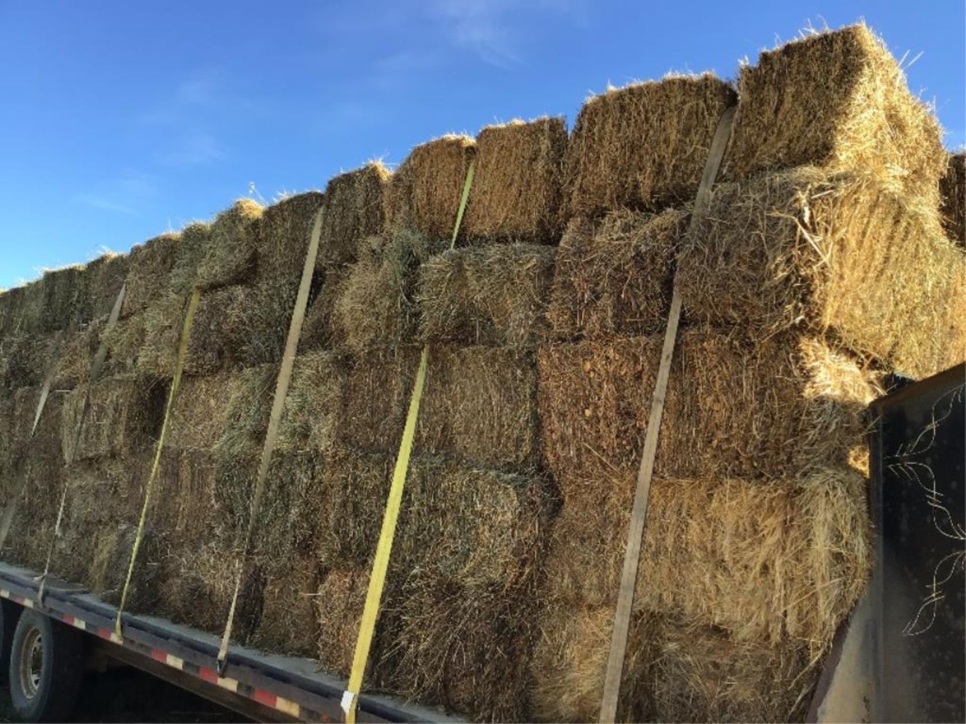 (20)-Brome/Alfalfa/Clover Mix Small Square Bales Selling by the pc X 20. Delivery for these bales on