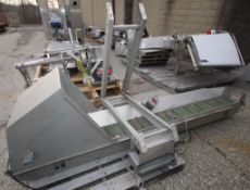 10 ft L S/S Power Inclined Conveyor with