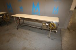 Straight Section of Conveyor,Overall Dims.: Aprox. 8' L x 23-1/4" W Belt, Mounted on S/S Portable