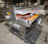 Arr - Tech Automation Tech. 48" W EagleArr - Tech Automation Tech. 48" W Eagle Belt Conveyor System,