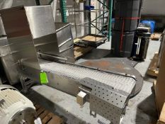 78” L x 31” H S/S Conveyor with 12” W PlasticBelt, S/S Drive Motor, 28” L x 34” H Removable