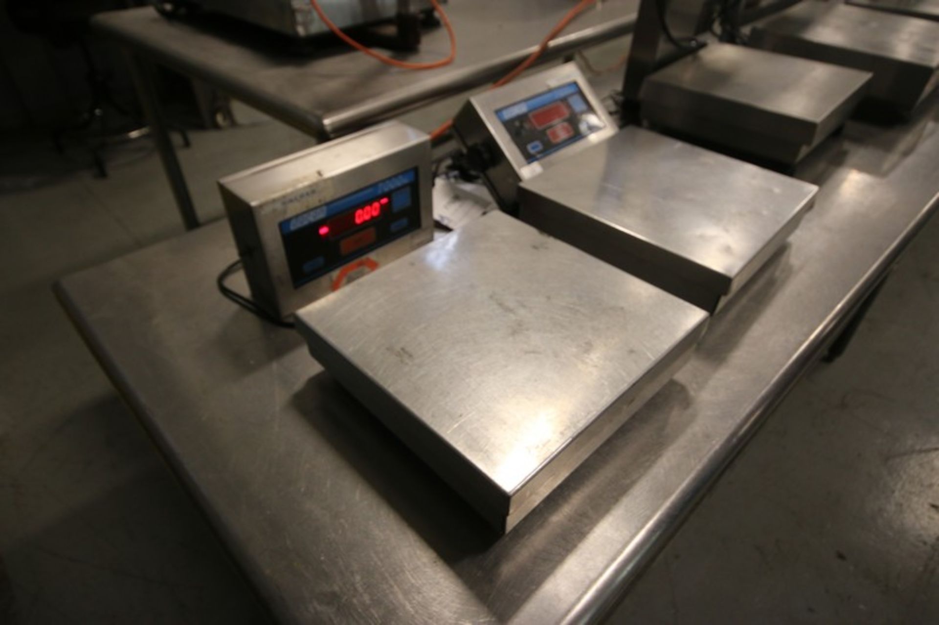 Doran Digital S/S Platform Scale,M/N 7000XLM, S/N XL707917, with Aprox. 12" L x 12" W S/S - Image 2 of 3