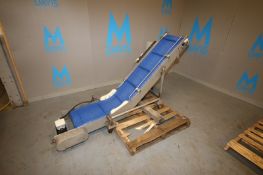 S/S Inclined Conveyor,with 15" W Intralox Belt with Flights, with Drive & Controls, Overall Dims.: