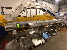 S/S VARIABLE SPEED CONVEYOR, SIDE CHOPPINGTABLES WITH CUTTING BOARD STANDS, WITH S/S WASHDOWN MOTOR,