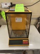 SARTORIUS ANALYTICAL BALANCE, TYPE 1702