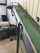 Carruthers Inline Conveyor (Located Douglas, GA)