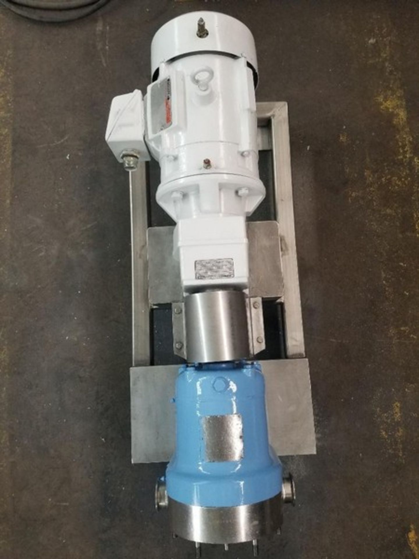Waukesha 5 hp S/S Positive Displacement Pump with 2-1/2" Tri-Clamp Inlet and Outlet, 230/460 V - Image 2 of 9