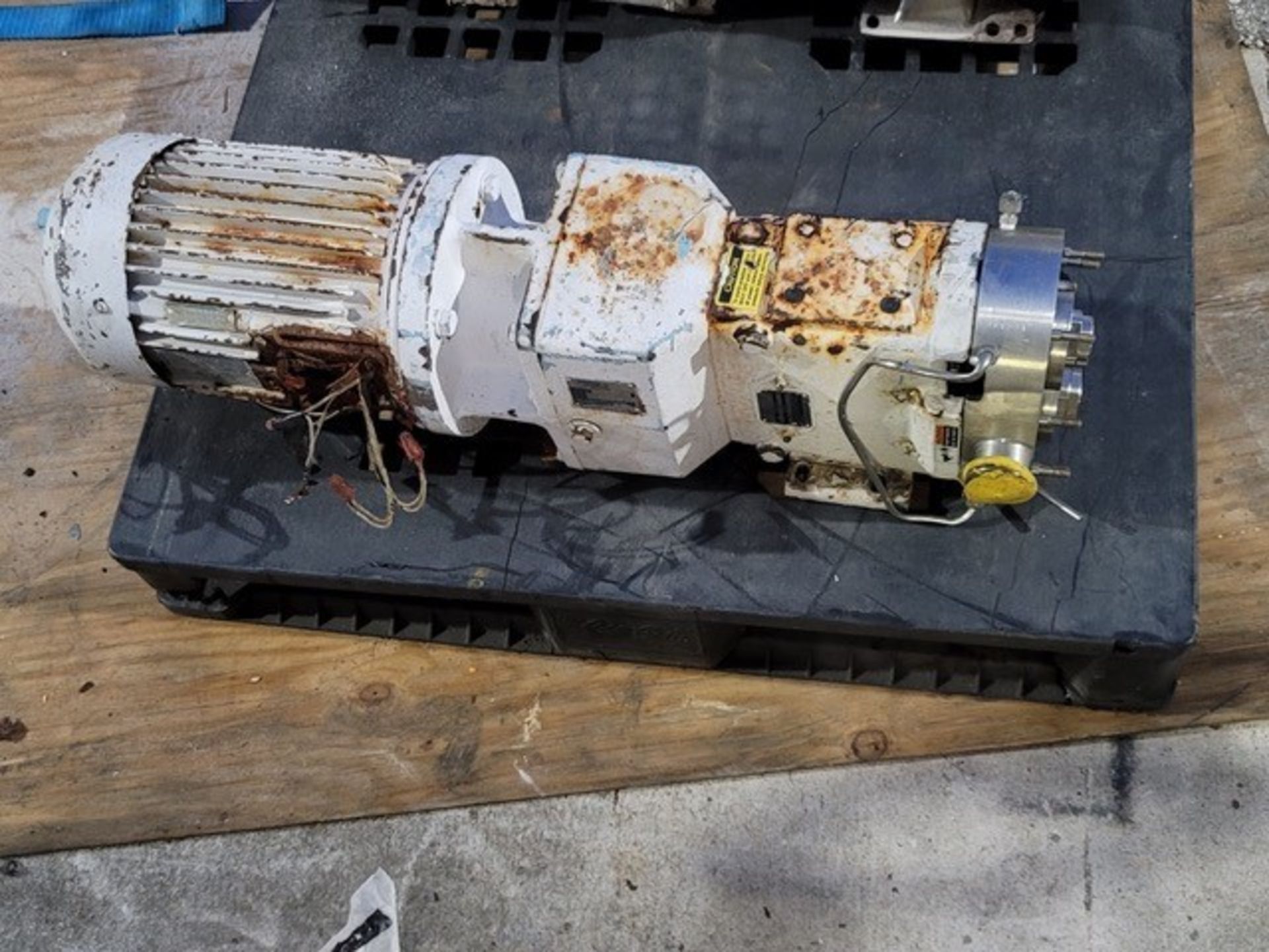 Waukesha Positive Displacement Pump, Model 30 -- FOB HIALEAH FL 33016 - Image 9 of 12