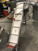 Dedra Inox Filler, Colimatic Nastro Tapor Aprox. 5' Belt Conveyor and Tavola Rotante Turntable,