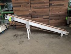 Aprox. 10" wide x 120" long incline Dura-Drive food grade belt conveyor, volt 110 (Handling,