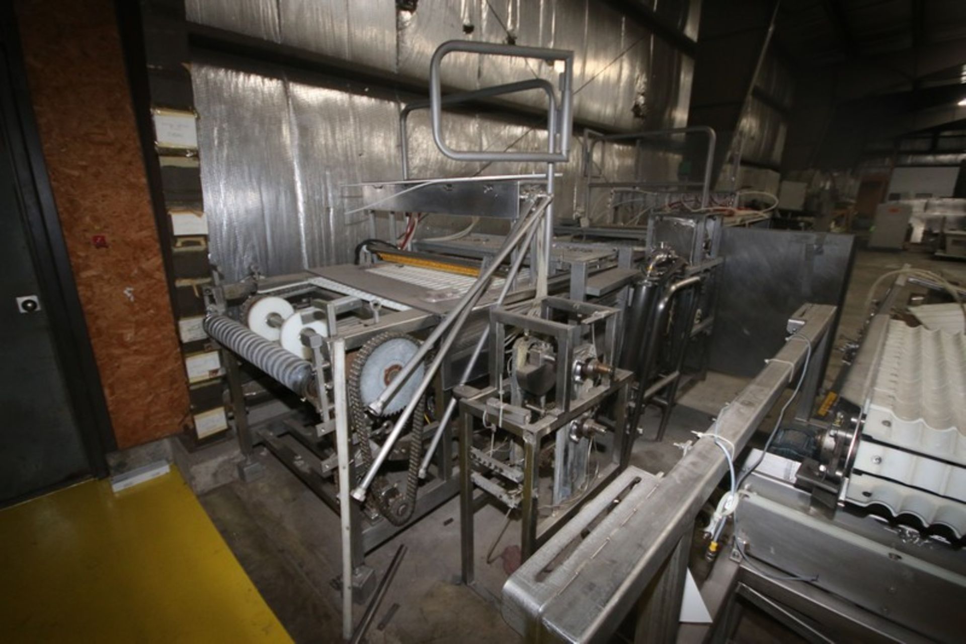 Sections of Stuffed Pepper Conveyor, with 2-Straight Sections Mounted on S/S Frame, with Plastic - Image 3 of 9