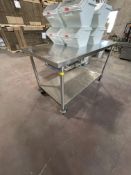 S/S TABLE WITH S/S BOTTOM SHELF, 60" L X 30" W X 36" H, MOUNTED ON CASTERS