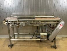 Straight Section 10" S/S Product Conveyor, Mounted on S/S Frame (Auction ID 80f02d30) (Handling,