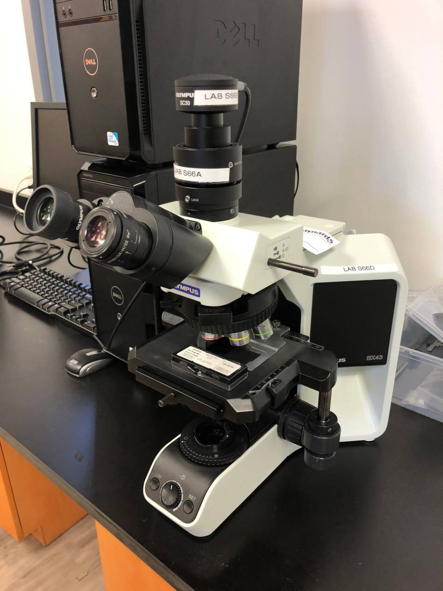 Olympus BX 43 Microscope