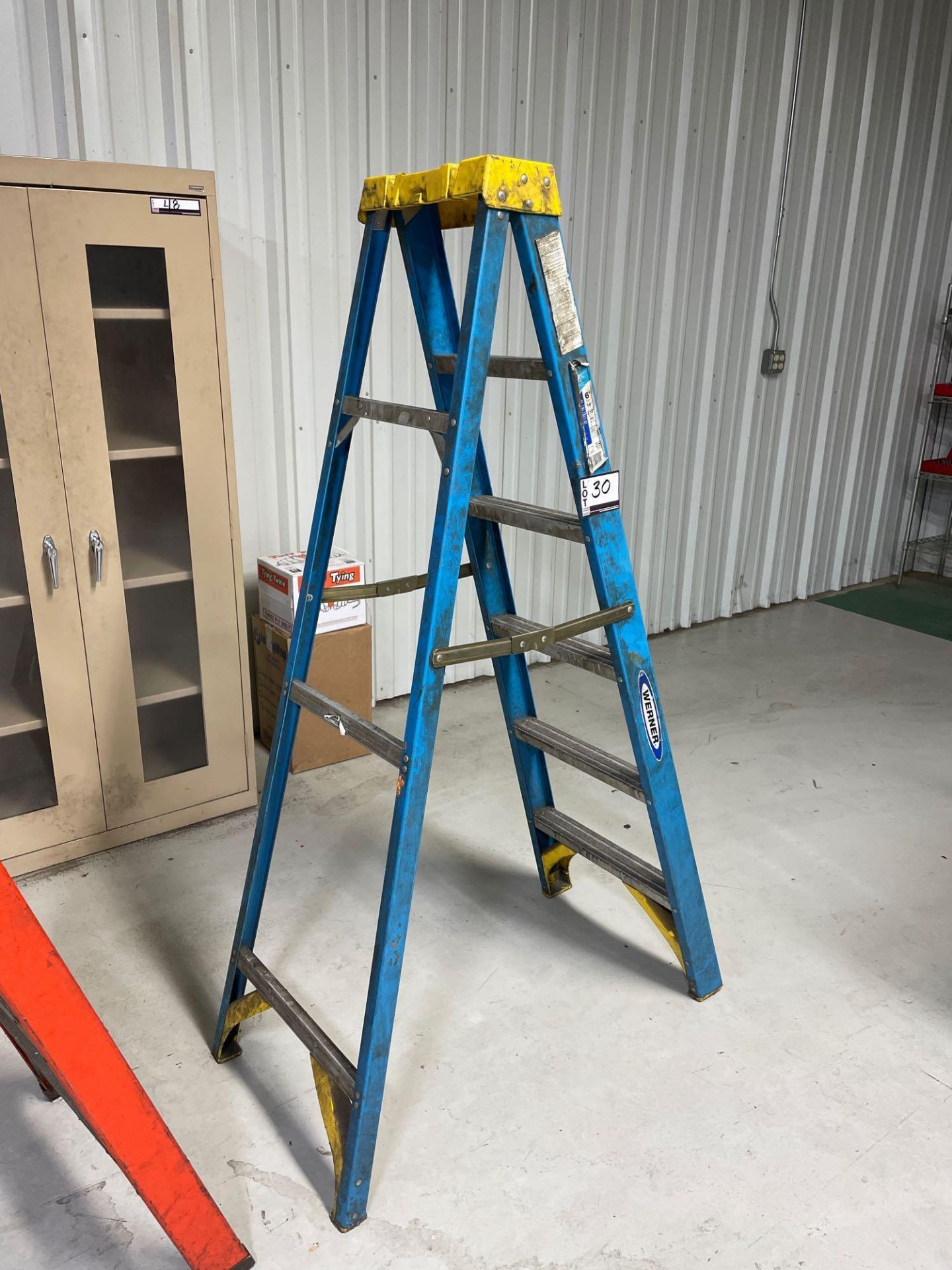 Werner 6' Ladder