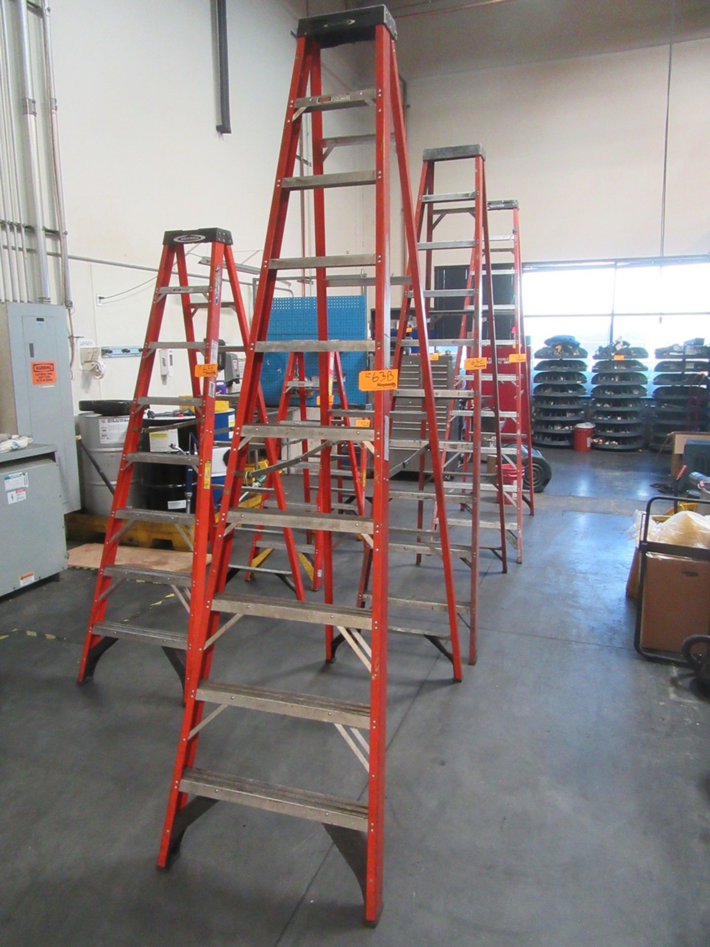 Werner 10' Ladder