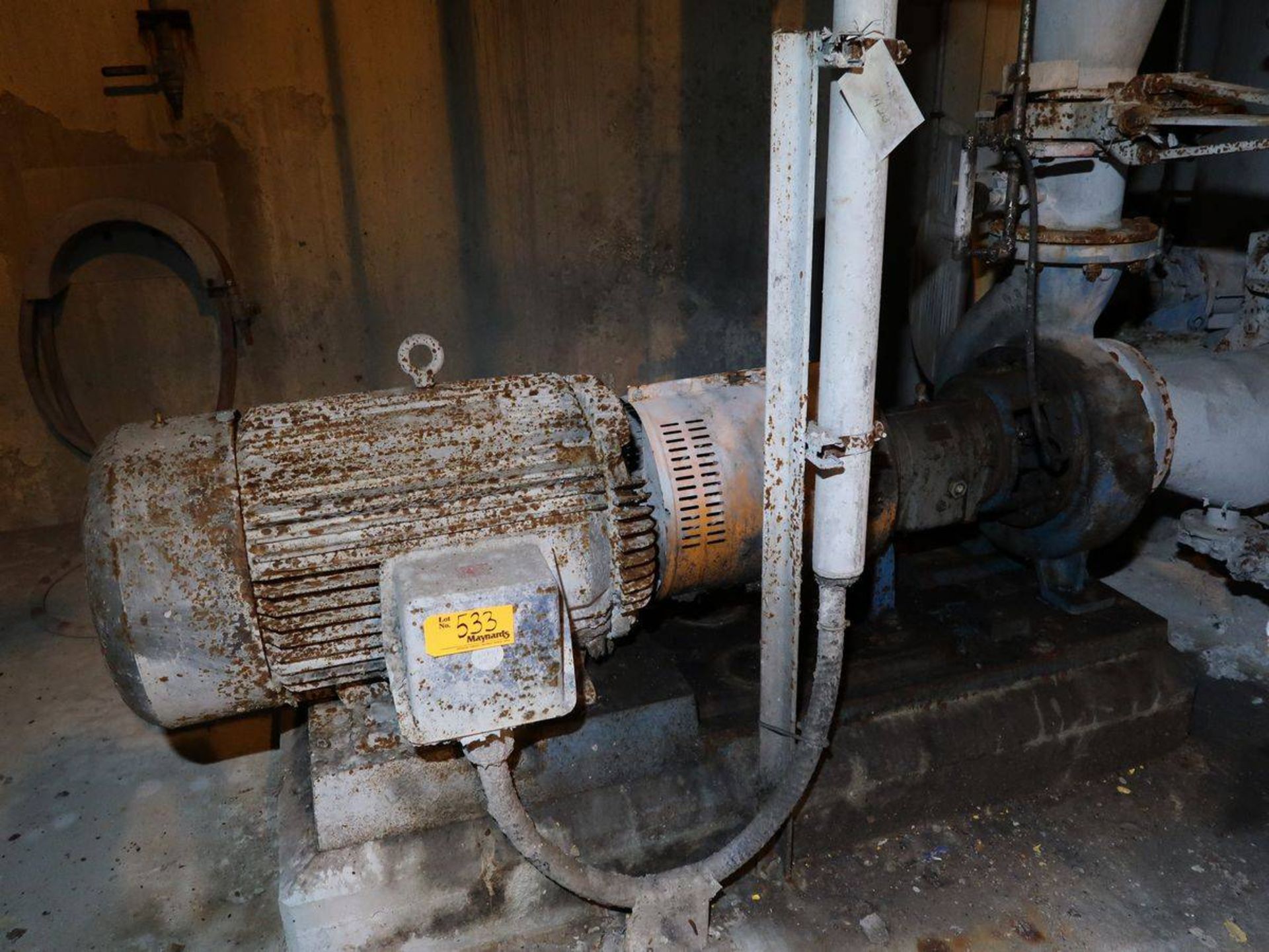 Goulds primary Posi flow feed pump