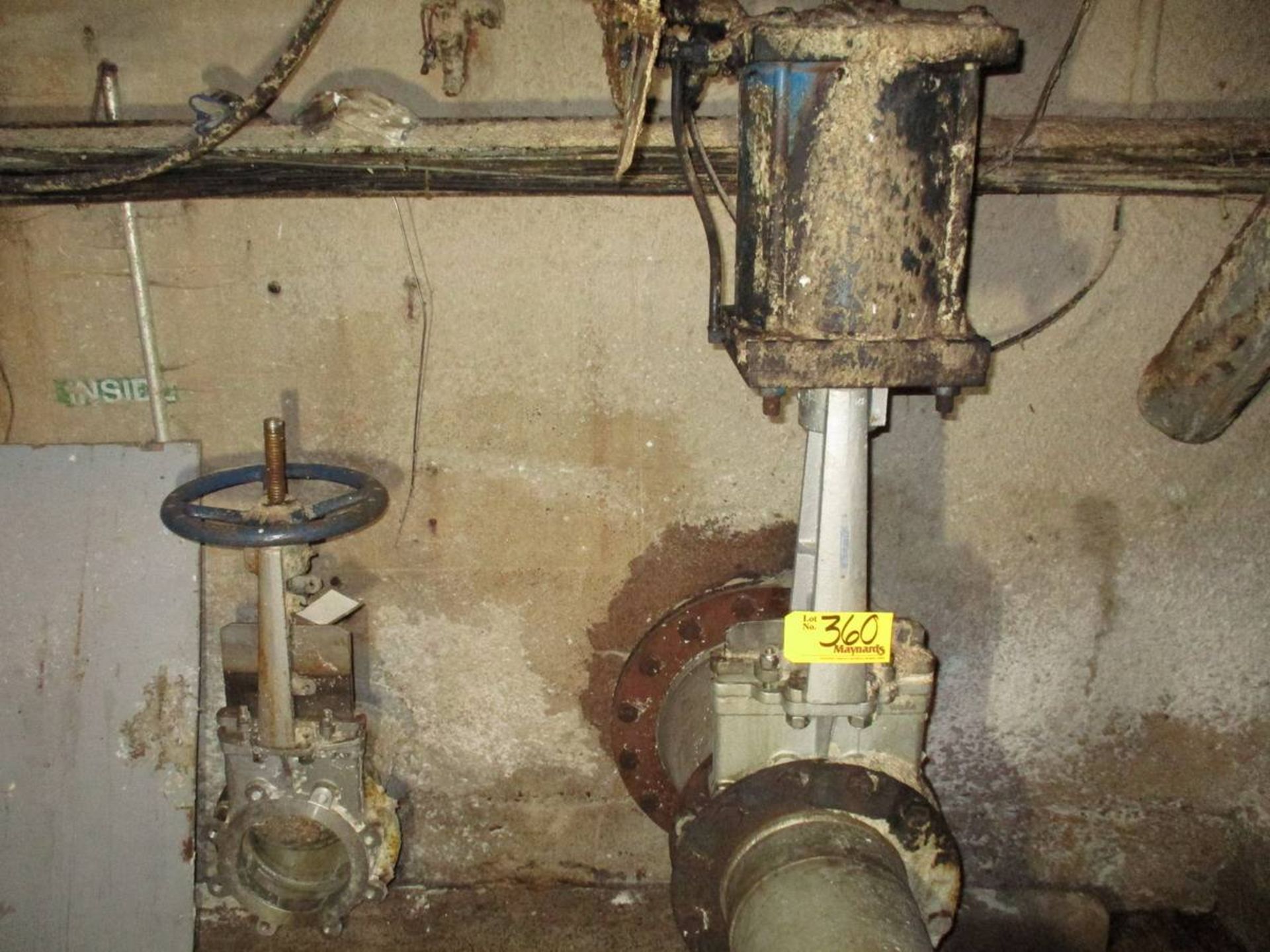 (2) ss gate valves