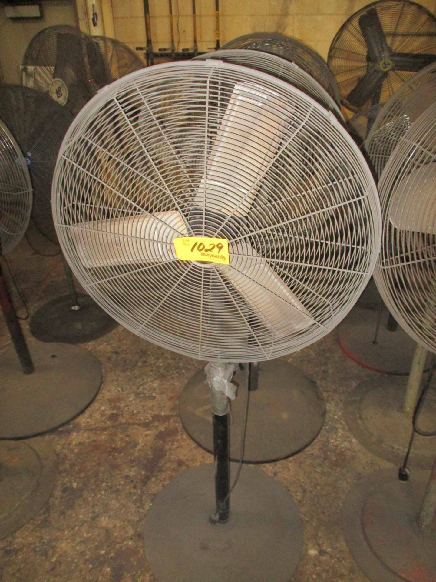 Lot of (5) 30" Pedestal Fans