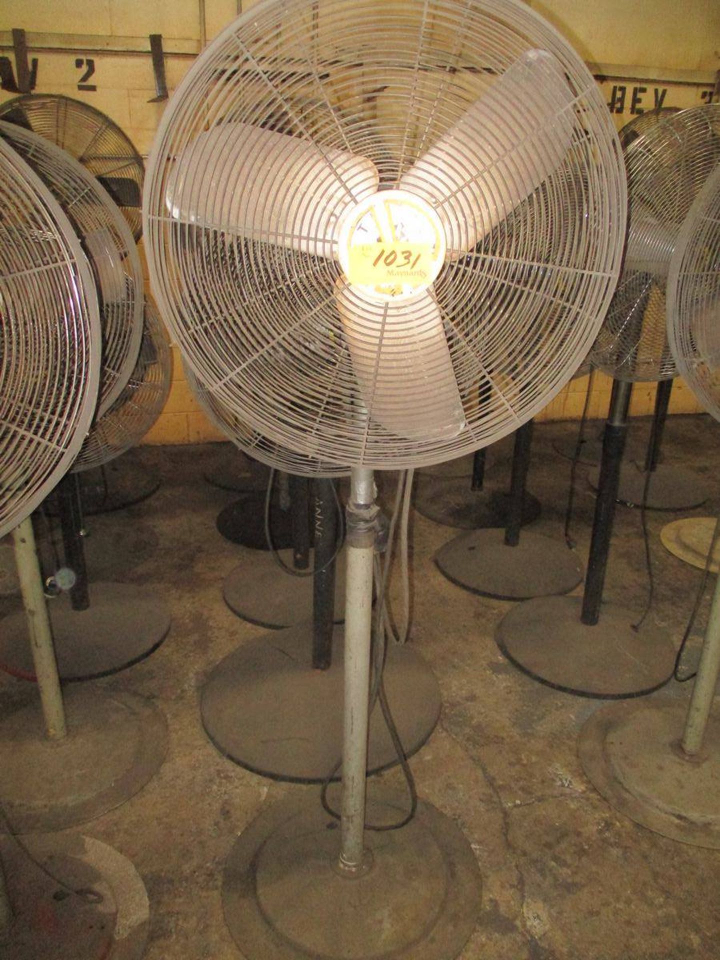 Lot of (5) 30" Pedestal Fans