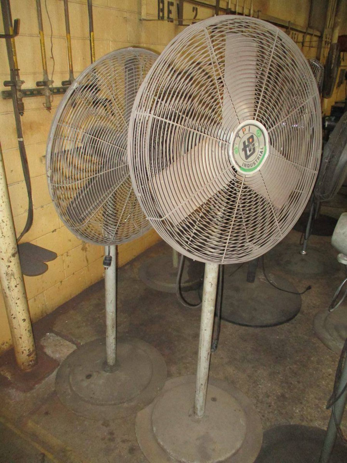 Lot of (5) 30" Pedestal Fans - Image 3 of 3