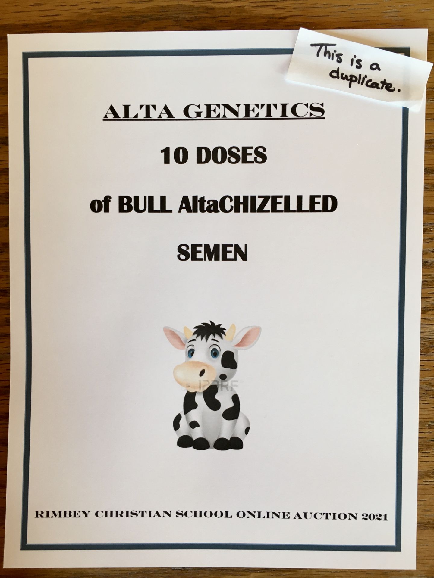 ALTA GENETICS GIFT CERTIFICATE: 10 DOSES OF 'AltaCHIZELLED' BULL SEMEN altaChizelled was born - Image 2 of 3