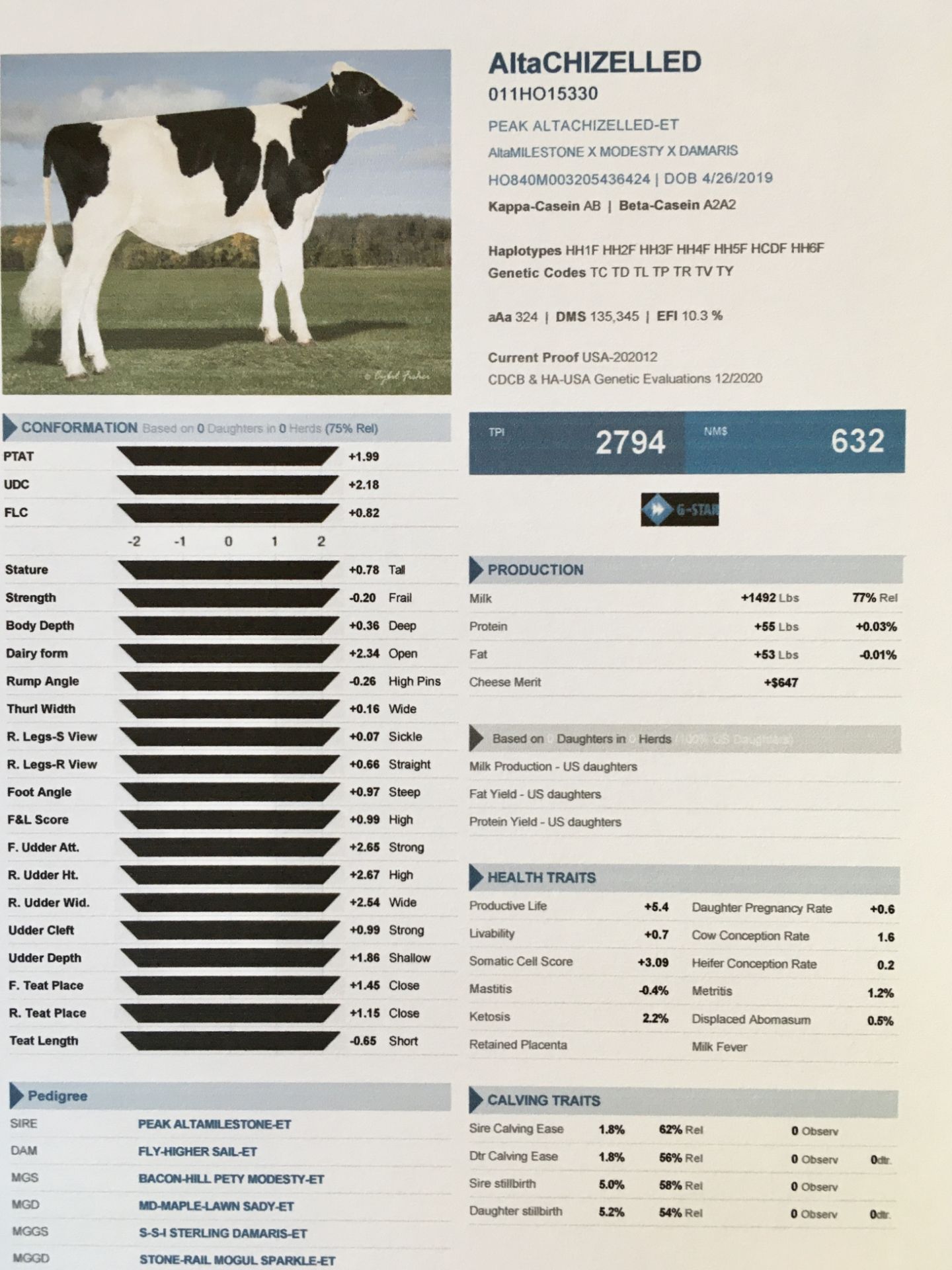 ALTA GENETICS GIFT CERTIFICATE: 10 DOSES OF 'AltaCHIZELLED' BULL SEMEN altaChizelled was born - Image 3 of 3